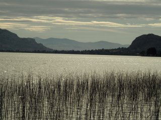 Osoyoos_Lake.JPG
